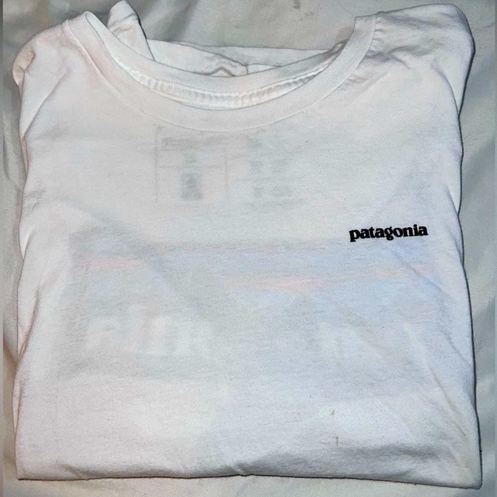 Patagonia Short Sleeve t-Shirt